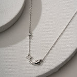 Load image into Gallery viewer, Sleek Dolphin Chain
